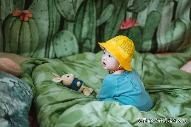 牛宝宝2022年取名，牛年女宝宝取名