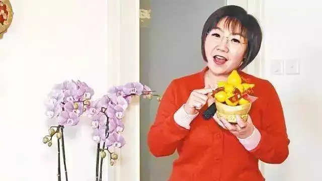宋韶光2022年生肖馬運程，宋韶光2022 年每月運勢