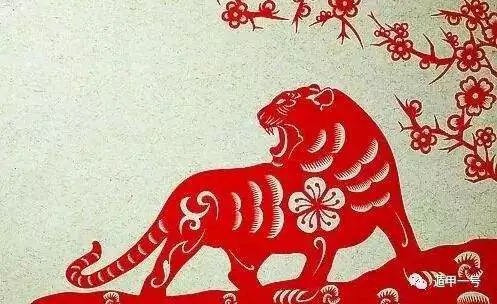 屬虎的女人2022年運勢，74年屬虎人2022年運程