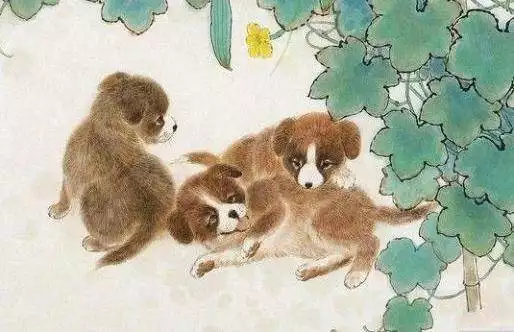 4、年属狗39岁的桃花劫:年属狗39岁运气好不好