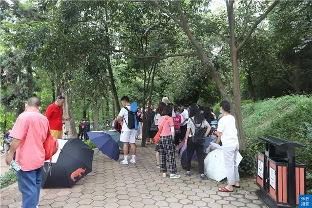 北京哪個公園有相親活動，北京菖蒲河公園相親