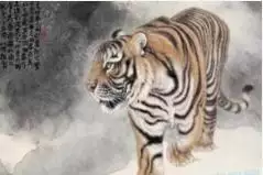2、年属虎一生运势:年属虎人的命运
