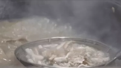 各種羊的圖片大全,無角陶賽特羊