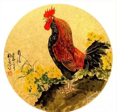 5、属相属牛的人与属鸡的人好不好:属鸡的和属牛的配吗