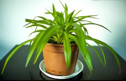 八字測算今日財運，今日運勢免費測試