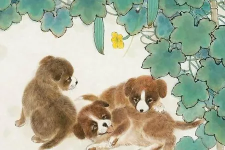 3、属狗的年运势:属狗人年全年运势如何？