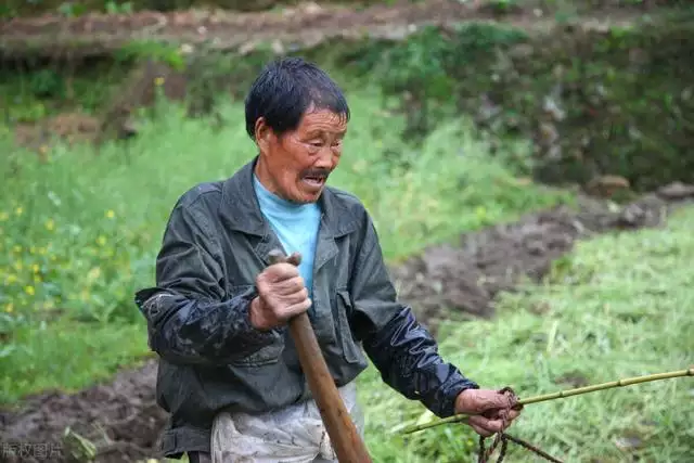 生肖屬牛一生的剋星是誰，73屬牛的三大貴人