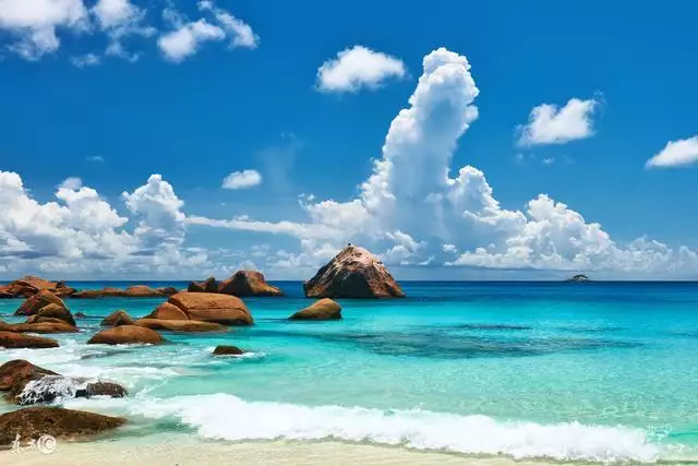 几月虎宝宝是富贵命,2022虎命太苦