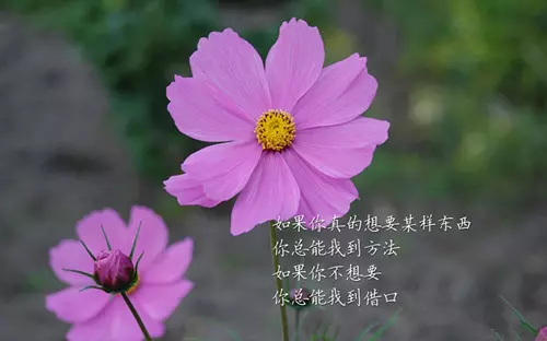 4、高雅有意境的兩個字:很有意境的兩個字