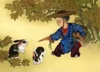 屬兔什麼屬相孩子