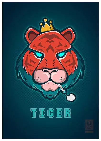 998年属虎一生的命运怎么样，98属虎女的更佳婚配"