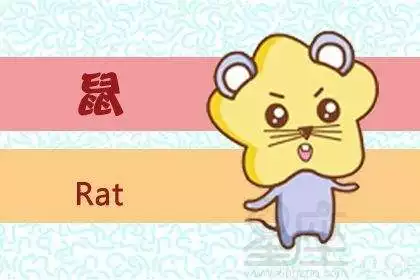 男屬羊女屬鼠婚姻狀況，91年和96年真的不配嗎