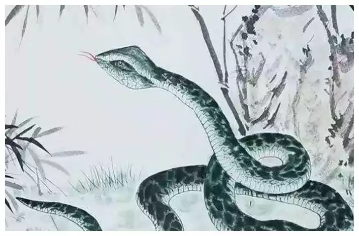 3、属蛇一生远离这个人:属蛇人是什么命