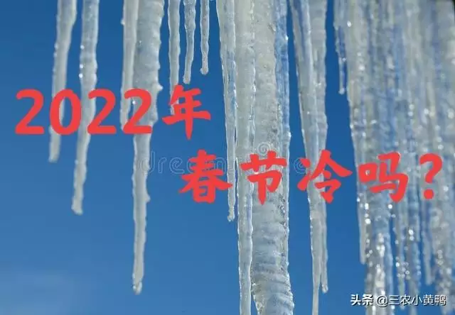 022牛年羊運好嗎，91屬羊人三大劫2022