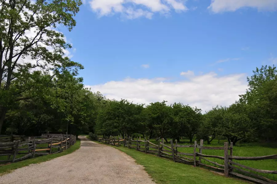 7、烧香时有一根香立着不倒:烧香时有一根香灰往西倒很长都不落是什么意思