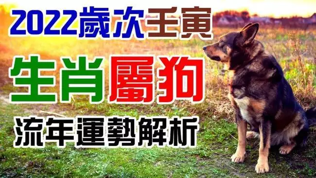 生肖狗的年份有哪几年，属狗的和什么属相最配
