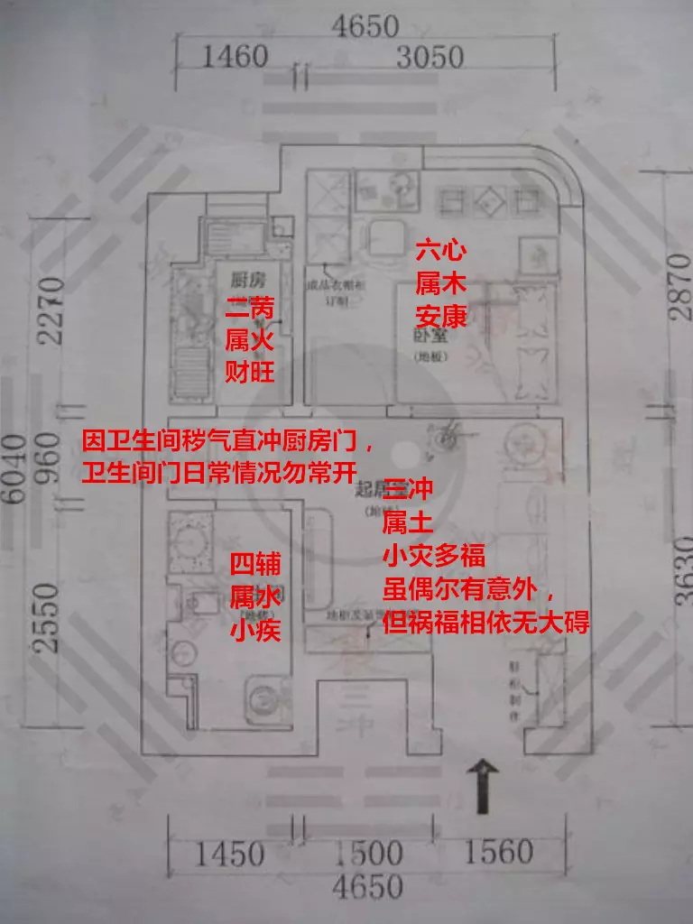 八字中学堂是什么意思：我的生辰八字里有很多学堂代表什么