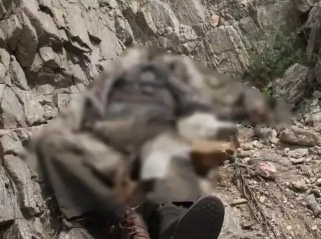 1年和98年,91和98能在一起嗎"