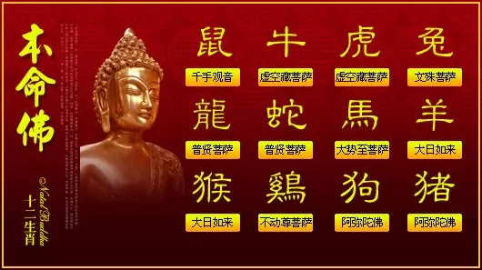 1、蛇年今年运势如何:属蛇今年运气如何