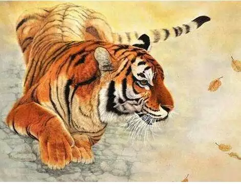 属虎哪天出生最好,属虎女孩哪天出生最好 属虎哪天出生最好,属虎女孩哪天出生最好