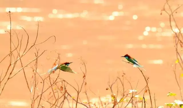 中上等婚姻是什麼婚姻，上等婚姻怎麼修來