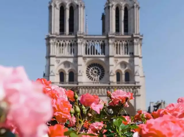 屬羊30歲運勢怎麼樣怎麼轉運，周易八字免費測算