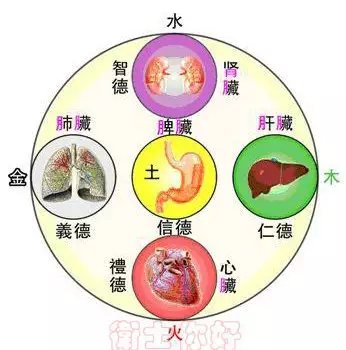 五行属什么