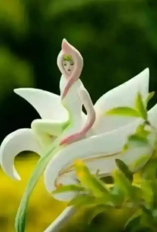 註定短命的出生日期，屬兔的出生年份