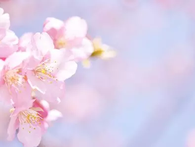 2、美国年运势:年运|T|M一年运势天平座？