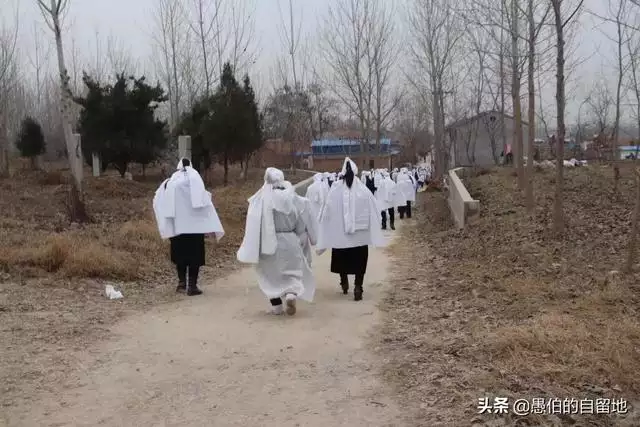 孝子代表哪個生肖，大孝子說的是什麼生肖