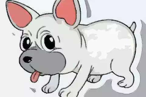 022今年屬什麼年，2022年虎年不宜生子的屬相"