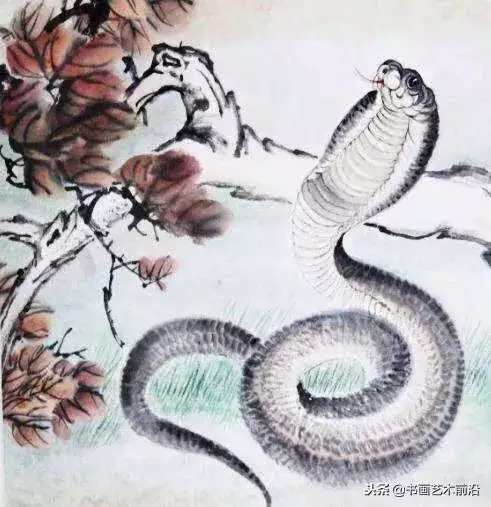 屬蛇的今年財運如何，屬蛇人今年的運氣財運
