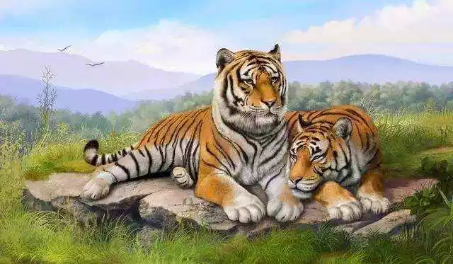 1998年属虎一生的命运怎么样，1998属虎最佳结婚年龄