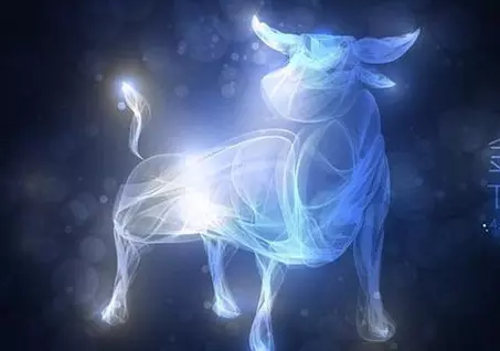 1、金牛座全年运势:金牛座年的全年运势