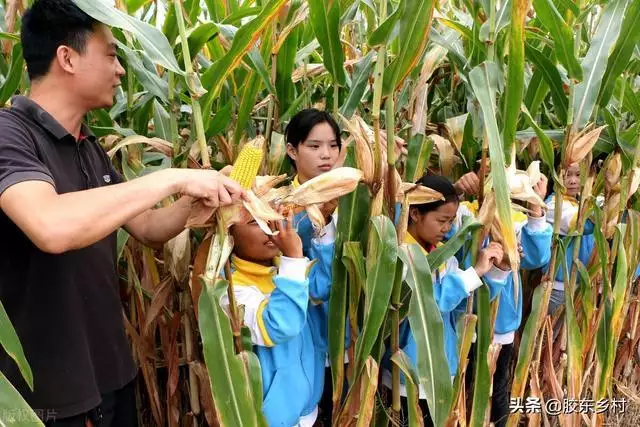 022年不生几月虎，2022年虎年生子不宜几月"