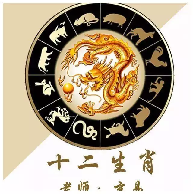 2、年十二生肖排表圖:年十二生肖年齡對照表