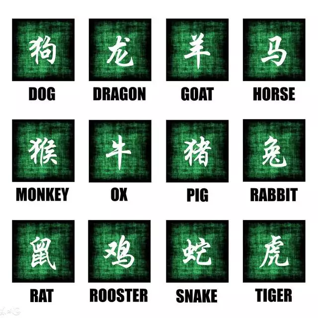 屬猴女嫁哪個生肖好，男屬猴女屬豬相剋嗎