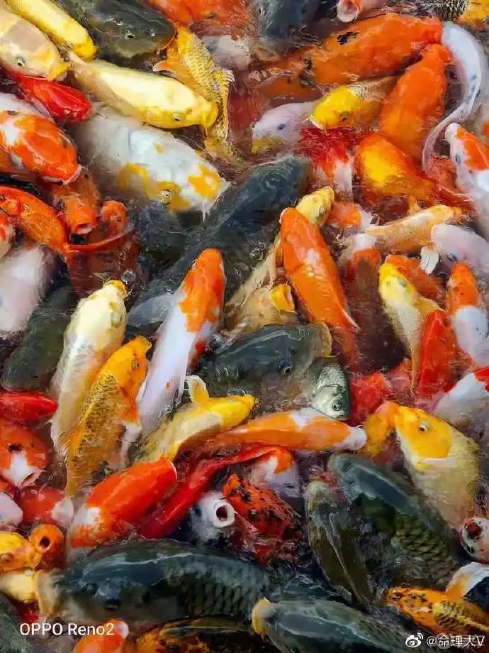 3、根据生日看看姻缘方位:根据生日算姻缘