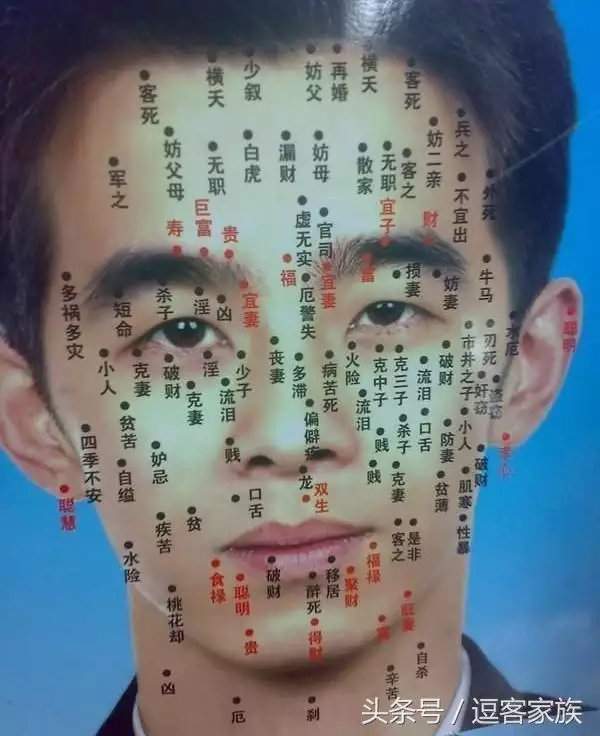 2、女上痣相的位置与命运运势:女人脸上痣的位置与命运图解