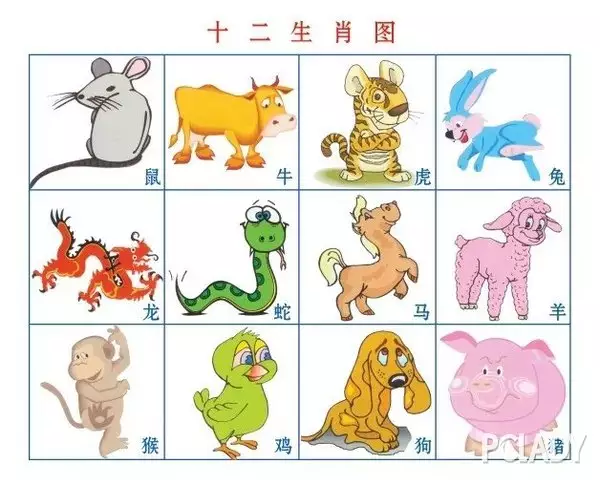 4、查看十二生肖图片:十二生肖图片在哪找