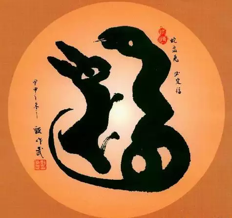 都說龍和兔不好是真的嗎，一隻渣渣兔說游