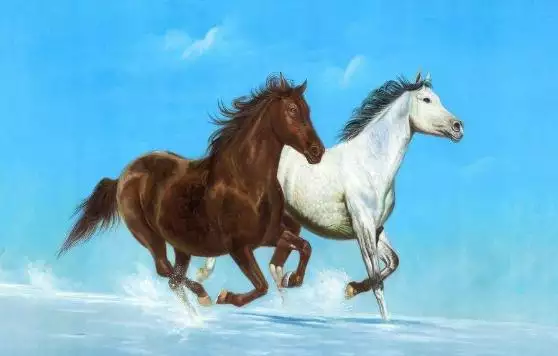 8年属马42岁以后财运,1987年属兔2022