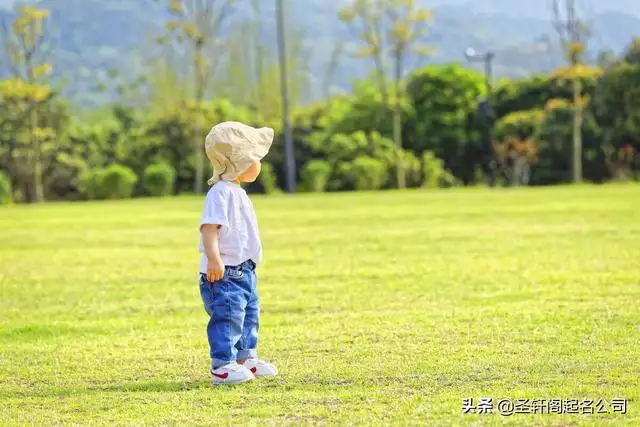 990年屬馬取名字男孩，屬馬男孩最吉利的小名"