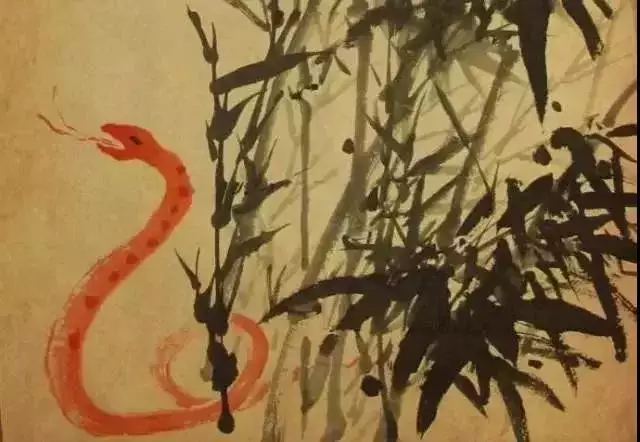 属蛇人55岁有一劫难：属蛇的多大年龄