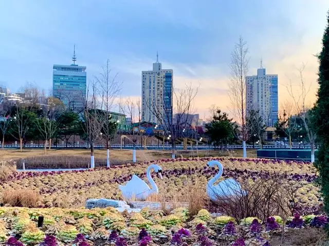 北京哪個公園相親更好，鄭州人民公園相親地點