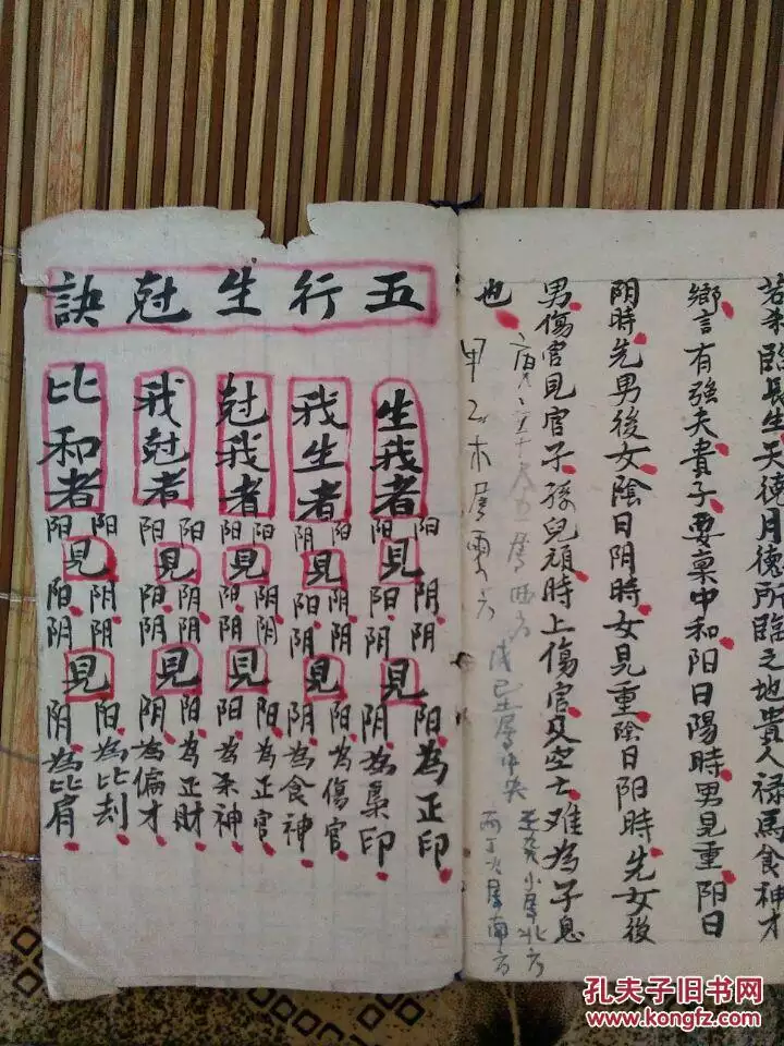 合的五行属什么