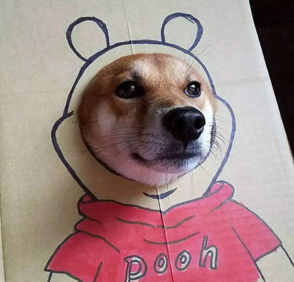 二哈柴犬動漫情侶頭像