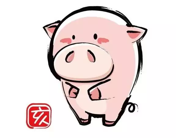 95年属猪27岁命运：年属猪是什么命