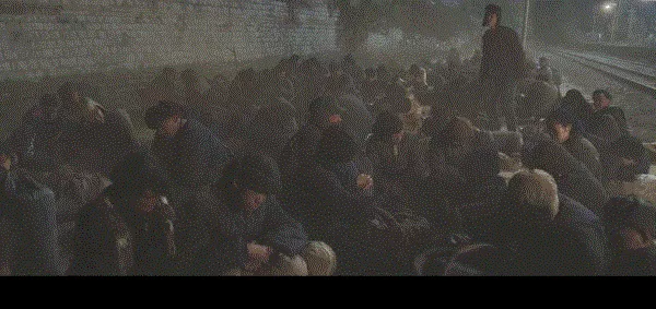 豬和牛在一起事業旺嗎，男豬女牛能過一輩子嗎