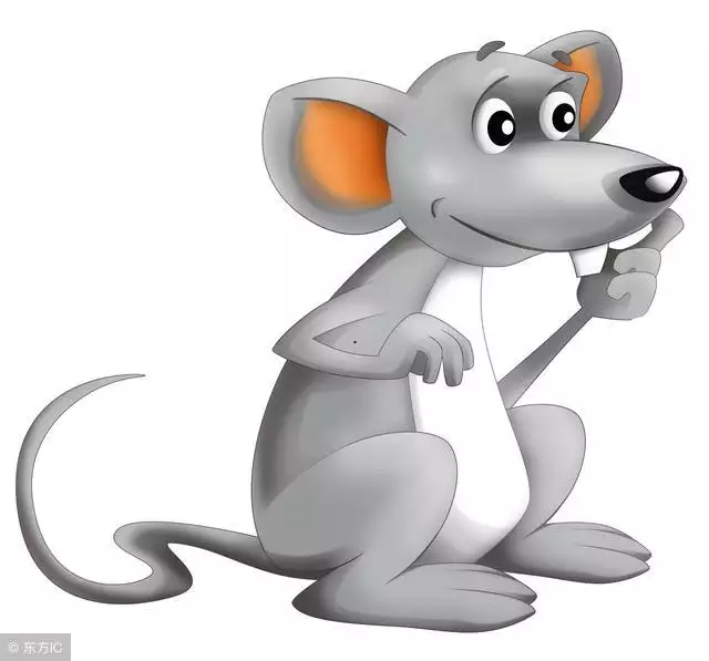 986年几月出生的虎最苦命，属虎的几月出生更好命"